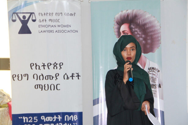 Participant speaking at the “Adoption of Family Law in Afar Region” workshop Photgraphy: EWLA